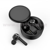 Wireless Earbuds (W13)