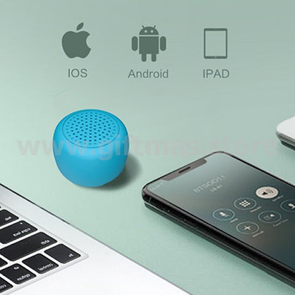 TWS Mini Wireless Speaker