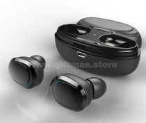 TWS Earbuds with Charger Case