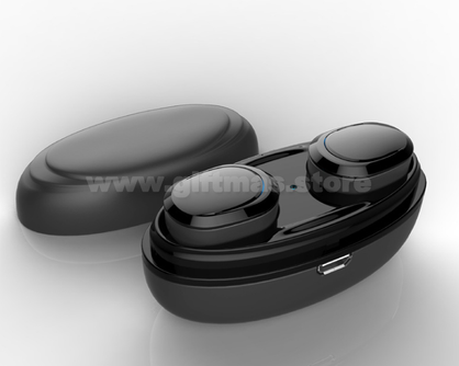 TWS Earbuds with Charger Case
