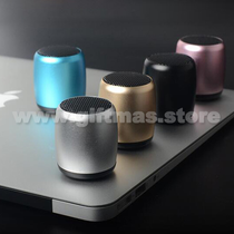 Mini TWS Speaker