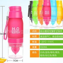 Fruit Infuser Plastic Water Bottle