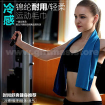 Sports Cooling Towel