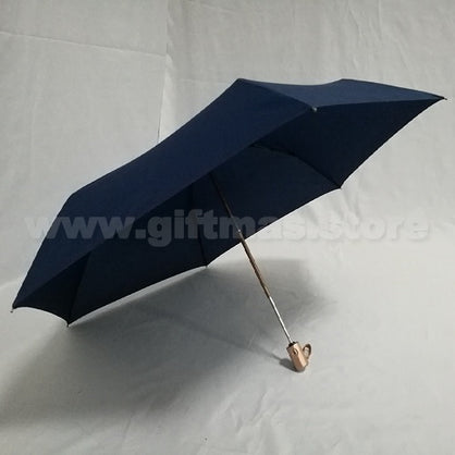 Light-weight Mini Umbrella - Auto open & Close