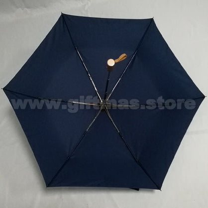 Light-weight Mini Umbrella - Auto open & Close